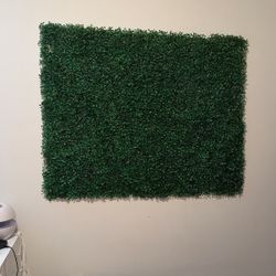 Wall Greener