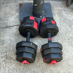 Two 25lbs Dumbbells 