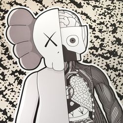 Kaws X Designer Print Supreme Glass Boost frame 700 Wall Jordan New