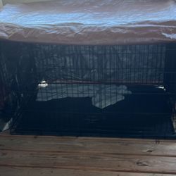 Xl Heavy Duty Dog Cage  (collapsible)