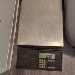 Sentra Scale Max 70lbs Model 70 CP