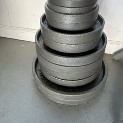 355lbs Plates and Weight Bar