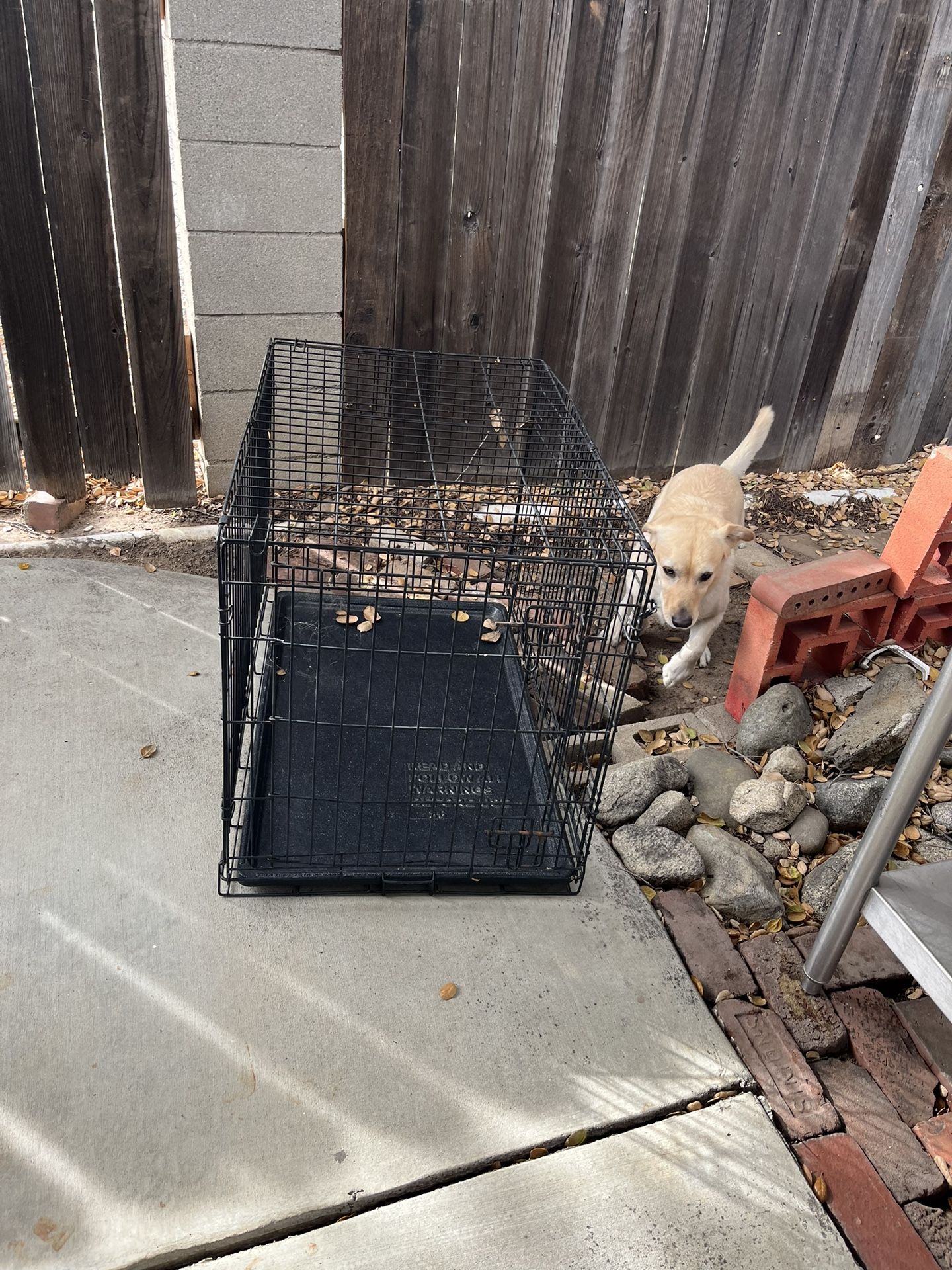 Crate For Dog