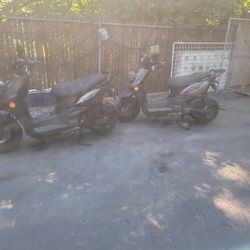 Yamaha Zuma Scooters