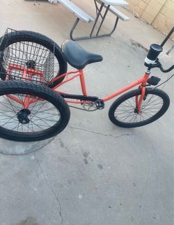 Adult tricycle