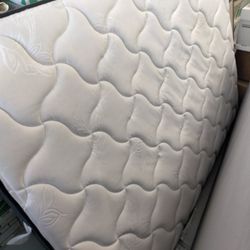 Ortho Mattress, Box Spring and Frame 