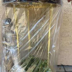 Vintage Shower Lite Creators Inc. 