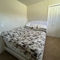 Elegant Queen Bed Frame – White Upholstered with Button Tufting