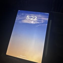 Apple Ipad Pro 11inch