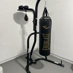 Everlast punching bag and speed bag setup