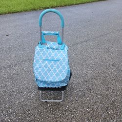 REMOVABLE SHOPPING BAG ON WHEELS