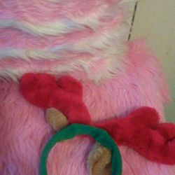 Costume for christmas dog / disfraz navideño para perro 🐩