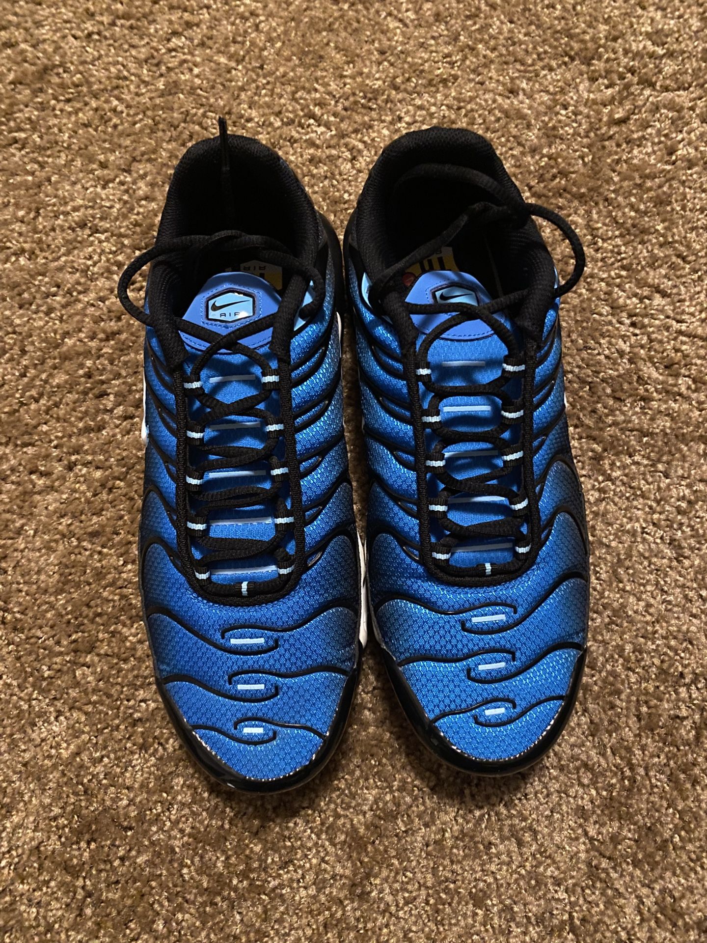 Nike Air Max Plus Aquarius Blue