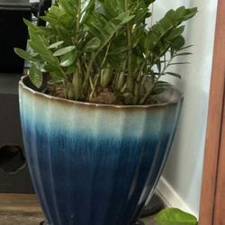 15 Inch Indoor/ Outdoor Planter Pot 