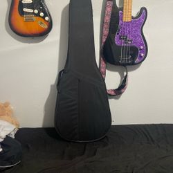 Guitar Case