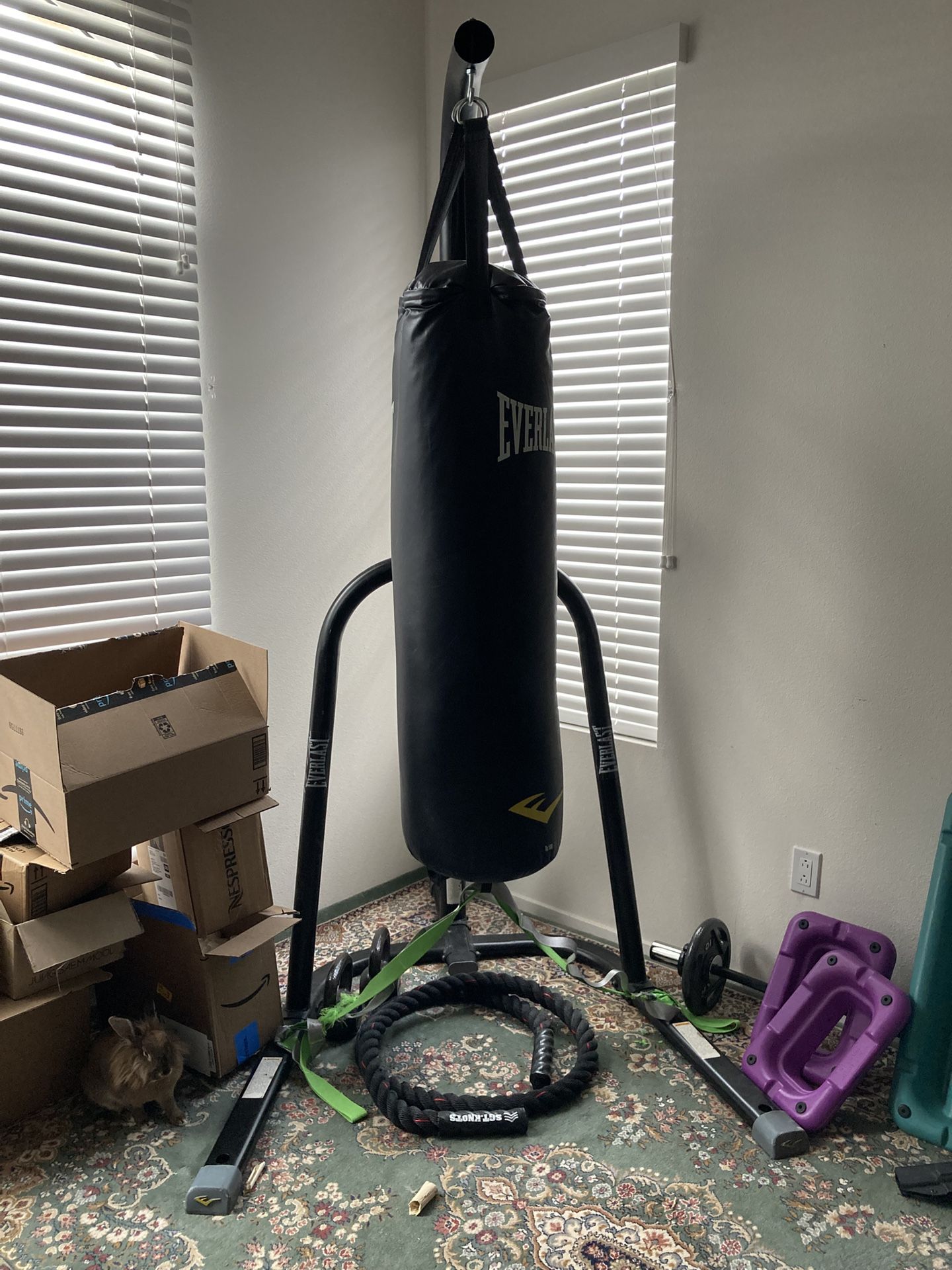 Everlast Punching Bag With Stand