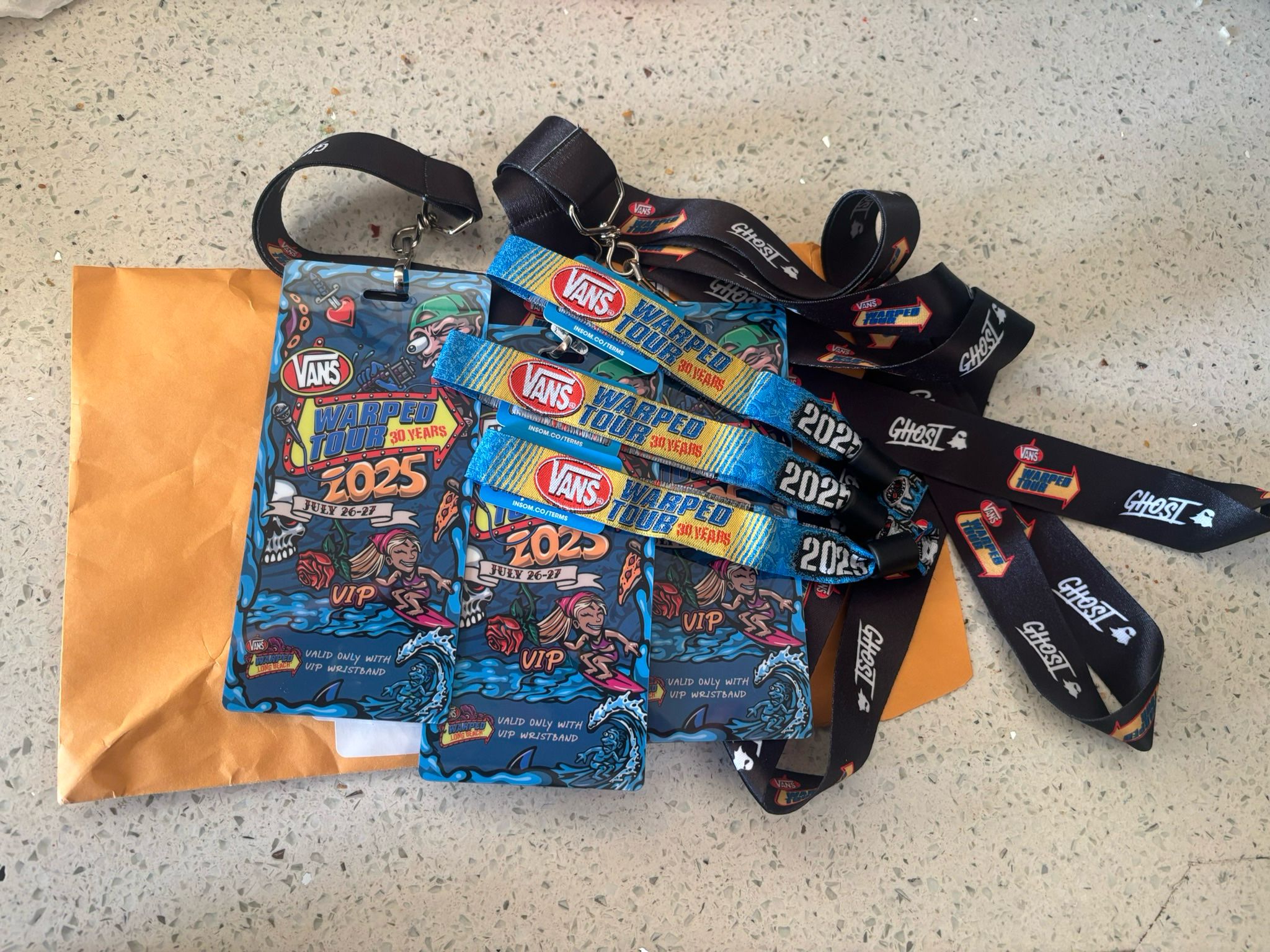 VIP Warped Tour Wristband and lanyard