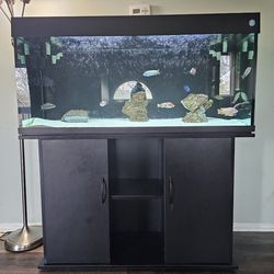 75 Gallon Fish Tank. EVERYTHING INCLUDED!