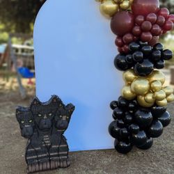 Balloon garland & Back Drops 