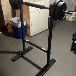Smaller Workout/Curl Bar