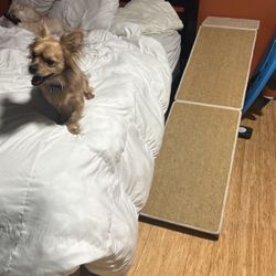 Pet Ramp 