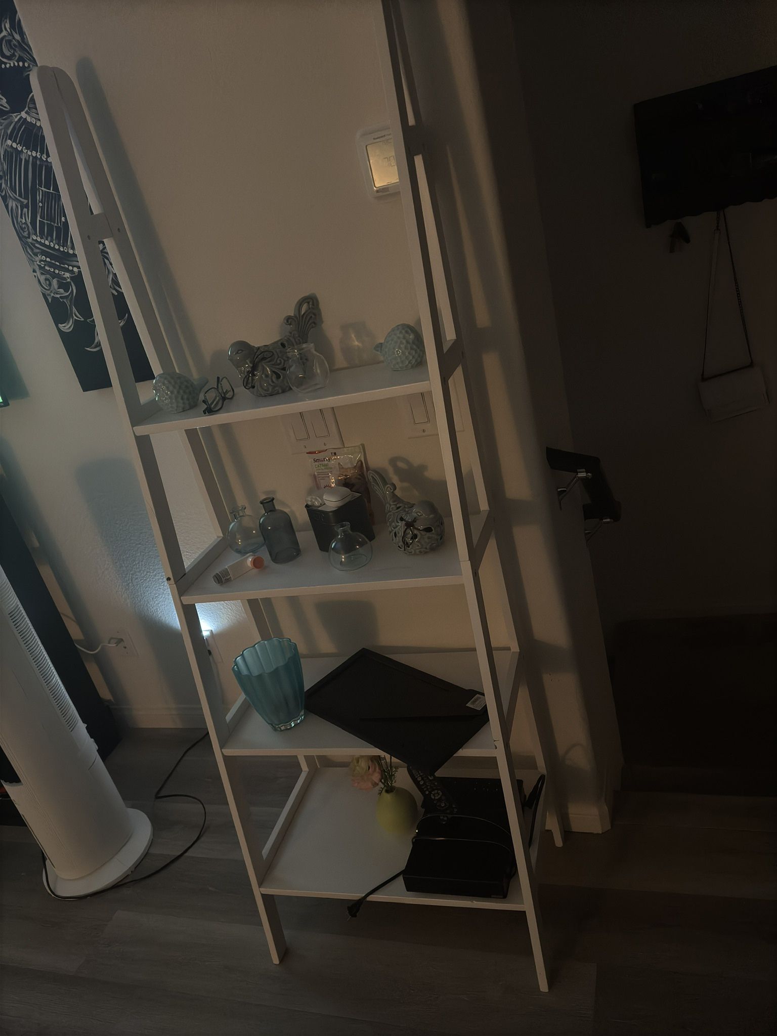 Ladder Shelf