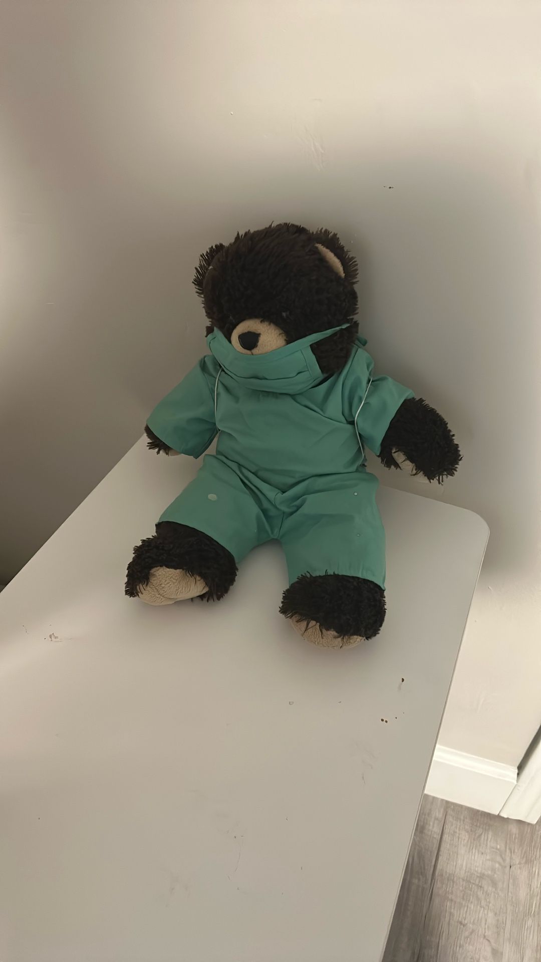 Teddy Bear With Scrubs