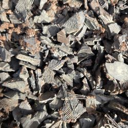 Rubber Mulch FREE