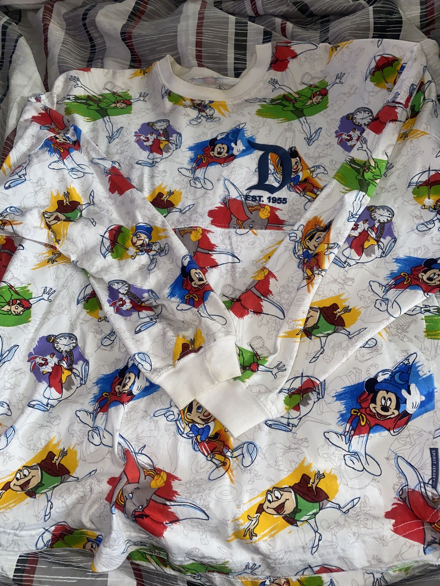 Disneyland Ink & Paint Adult Spirit Jersey XS