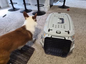 Small/Medium Dog or Cat Kennel - Great Condition