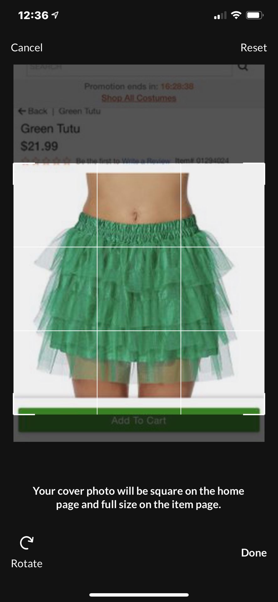 Halloween Costume Green Womans Tutu Skirt NWT