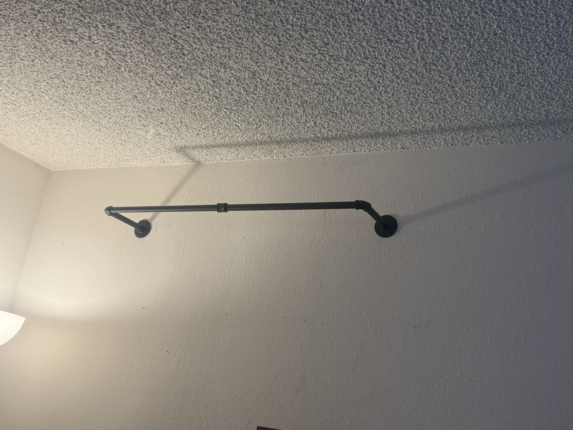 Hanging plant Indoor