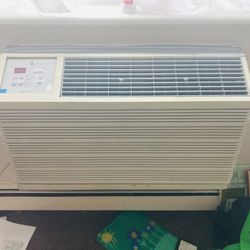 Friedrich Wall Master 120v AC