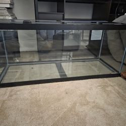 75 gallon aquarium with top