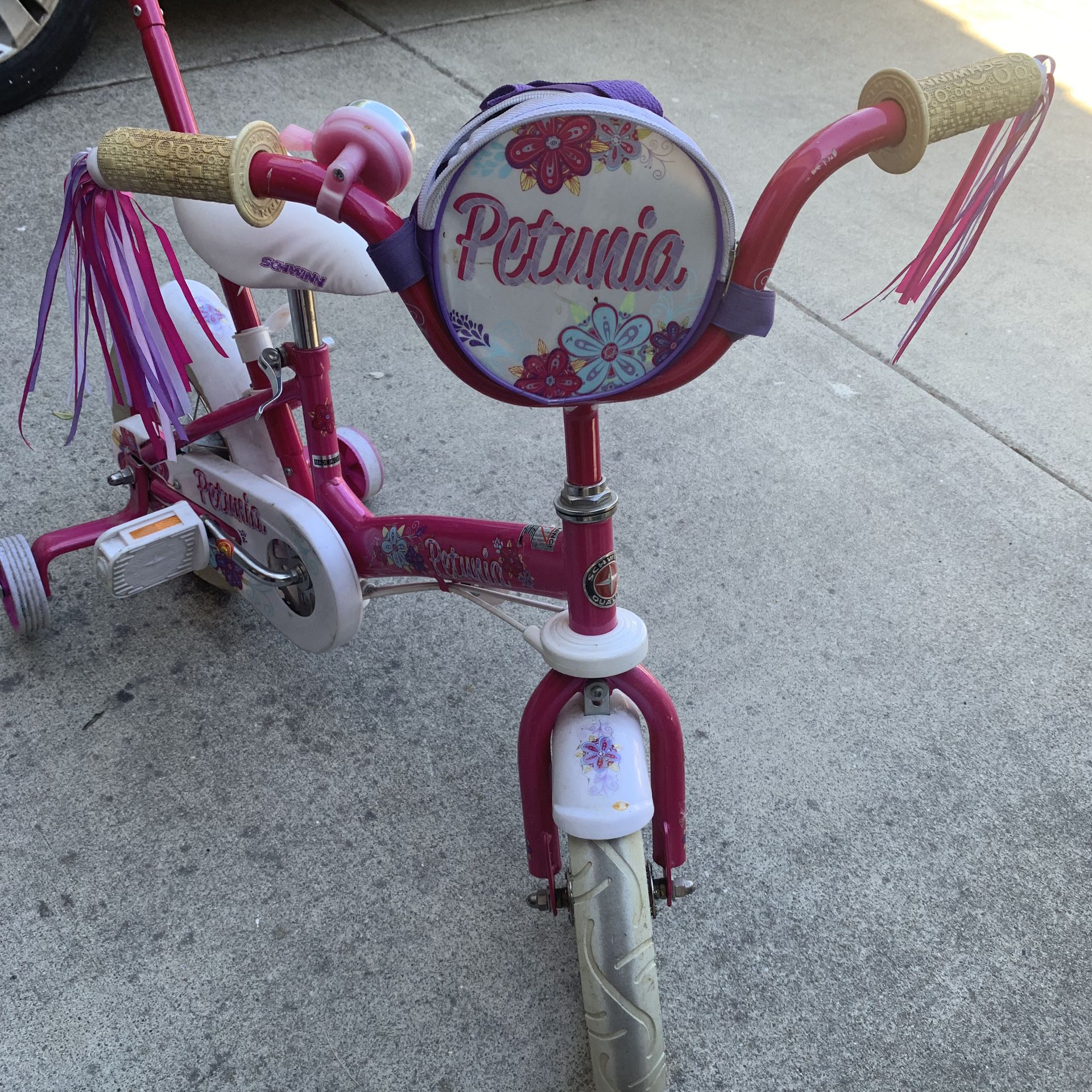 Schwinn Petunia and Grit Steerable Kids Bikes, Featuring Push Handle for Easy Steering, Training Wheels, Enclosed Chain Guard, Quick-Adjust Seat, and