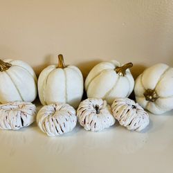 Lot Of Pumpkins 