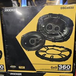 Kicker 6x9 (DSC6930)