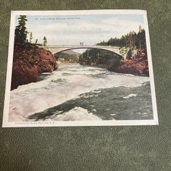 vintage concrete Bridge Yellowstone National Park pictorial post card