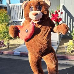 Valentines Teddygram Delivery Service 