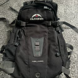 Dakine HeliPro 24L Backpack Bag