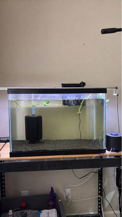 20 gal tank