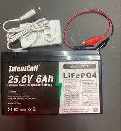 Talentcell 25.6 Volts 6AH LiFeP04 Deep Cycle Battery Pack Model LF8011 RV BOAT