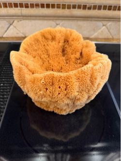 Brand New Tarpon Springs Natural Sponge Bowl Shaped Decoration, Size 8 by 6 1/2 Sponge Decor