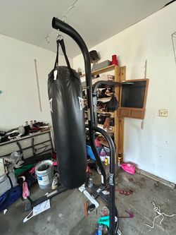 Boxing bag with speed bag