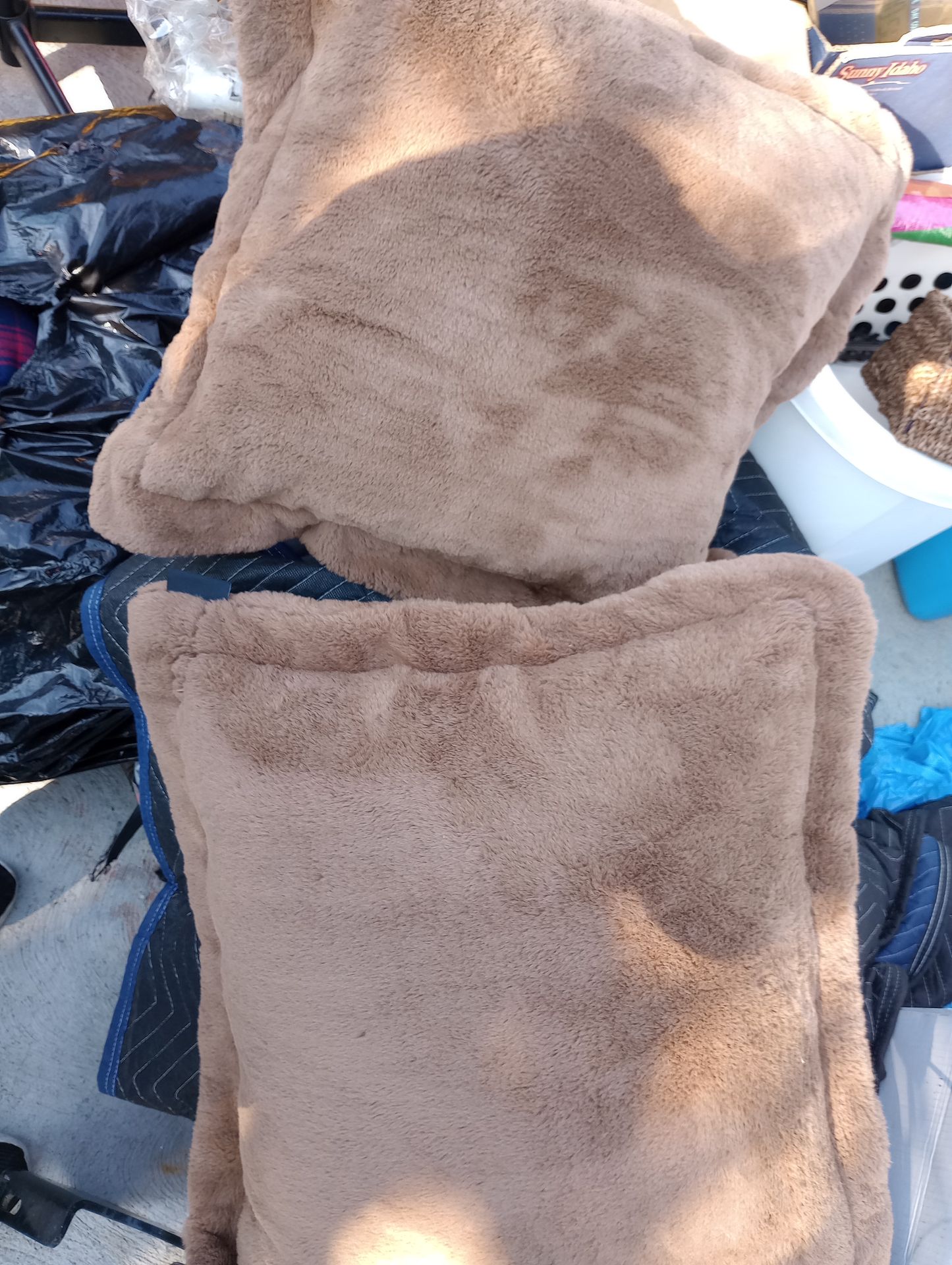 Rachel Zoe Faux Fur Pillows set of 2