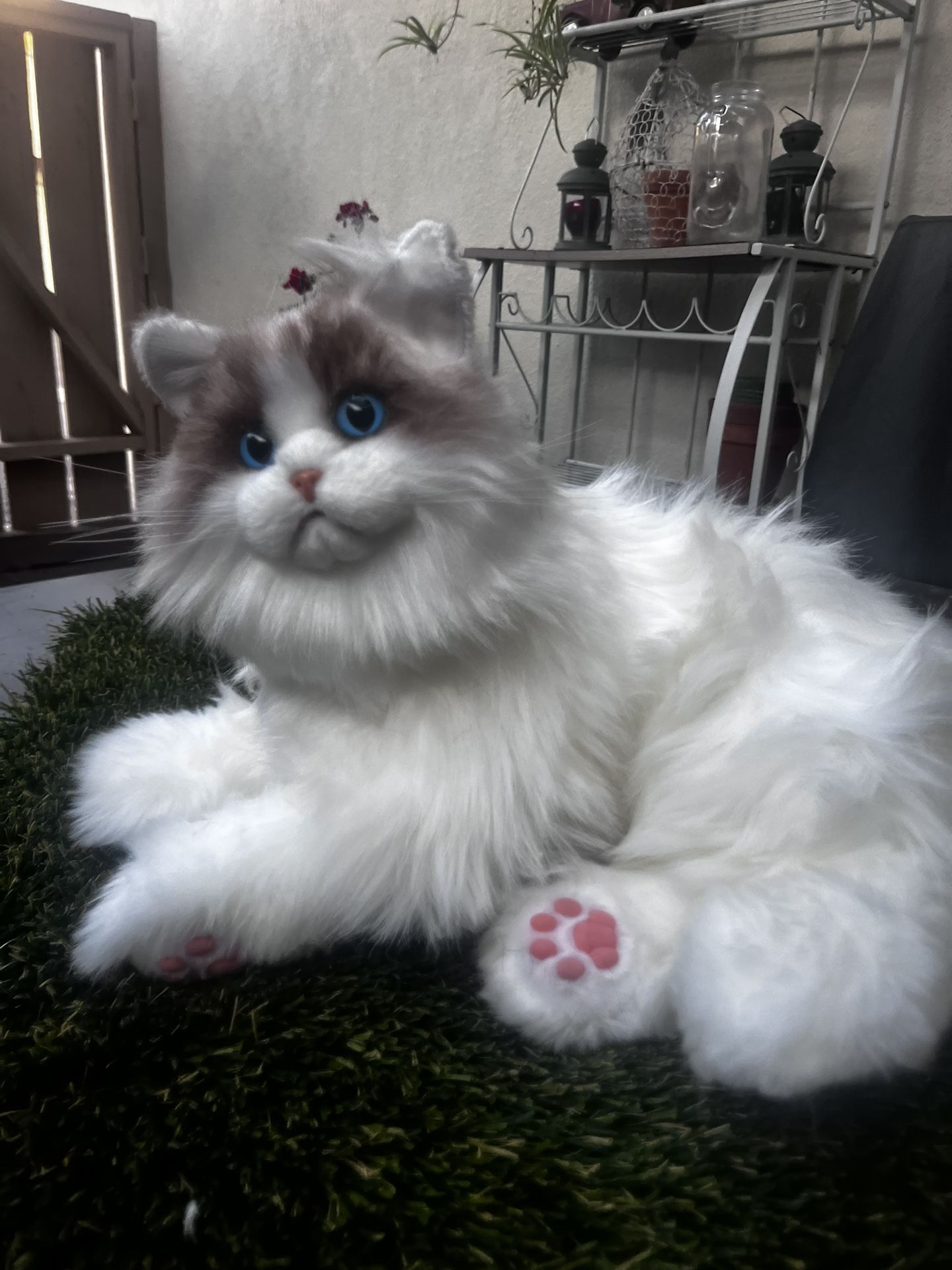 Cat Plush Stuffed Animal 
