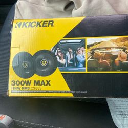 Kicker 300 Watt Max