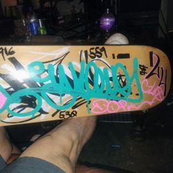 Blank Board Never Skated 