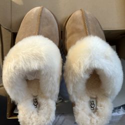 Ugg Slippers