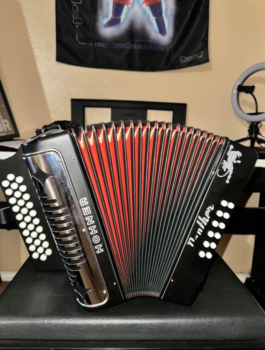 Hohner-Panther-Accordion with Bag